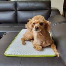 강아지 고양이 3D 에어매쉬 쿨매트 쿨방석, 쇼파용 강아지 고양이 3D 에어매쉬 쿨매트