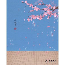 셀프촬영 배경 스튜디오 86종 아기 돌사진 배경천 50일 100일, BE