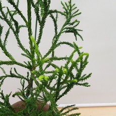 69423af715846151c8bc4d650e9be0061332c40ab2fd73ba9b2849c10dc4.jpg