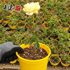 유어오브