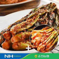 순천농협 [순천농협] 남도의 맛! 갓김치 3kg+파김치 1kg, 1box