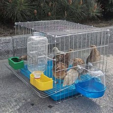 닭집 가족 농장 사육 뒷마당 메추라기 병아리 새 파트리지 비둘기 앵무새 알 산란용 케이지 하우스 공장 가격, 1개