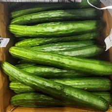 국내산 못난이 취청오이 청오이 1kg 4-5 내외, 1개