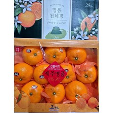 프리미엄 고당도 제주 천혜향 선물세트 당도선별, 1박스, 선물용 천혜향 3kg