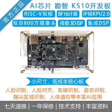 risc-v