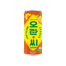 오란씨 오렌지 250ml