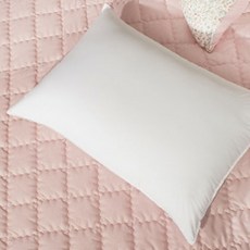 저데니아솜마이크로이불