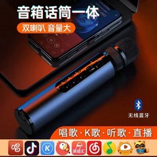 듀얼노래방기계