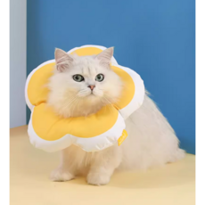 5H펫 반려동물 꽃잎 넥카라 강아지 고양이 중성화 깔대기, 옐로우, 1개