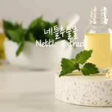 네틀추출물