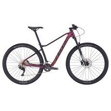 [첼로자전거] XC 10 DEORE 22단 29인치 MTB 자전거 2023, 다크 실버 / 블랙 (티탄), L