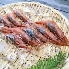 초밥아마에비