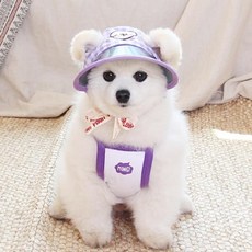 강아지썬캡-추천-상품