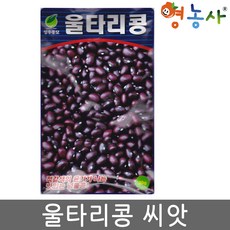 울타리콩씨앗 30g 콩씨 콩씨앗 넝쿨콩 텃밭 원예, 울타리콩, 1개