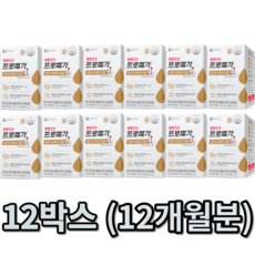 알티지오메가3 종근당 프로메가 rTG 불포화지방산 건강기능식품 어류오일 혈행 눈건조 개선, 12박스-(12개월분)