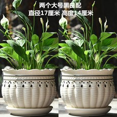 266d5462ec61894ff2512ec85aada0abd6caff79207ab221cbdbe093c53c.jpeg
