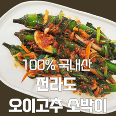 100% 국내산 전라도 오이고추 소박이 아삭아삭 씹히는 맛이 일품, 2개, 1kg