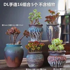e0a3dc9f610caa7d42b2a81b69ae70aa82a85d1719d0cc4d8a4f5cd63a89.jpg