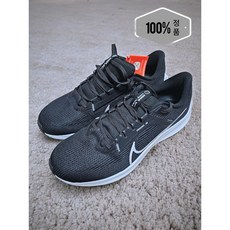 [국내매장판A/S가능] NIKE 나이키 에어 줌 페가수스 40 운동화 러닝화 DV3853-001