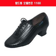 라틴화