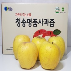 청송명품사과즙