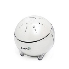 옥시피아스터디