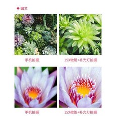 bc60e120701d1ad019e8fea0970cb4d701625844a1158c52d4e6b725a169.jpeg