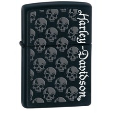 할리지포라이터