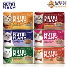 동원 뉴트리플랜 영양만점 대용량 160g x 24개 골라담기 고양이 습식 캔 6종류, 6종혼합