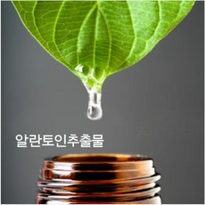 알란토인 액상 알란토인 추출물(무방부제), 100ml, 100ml - 알란토인파우더