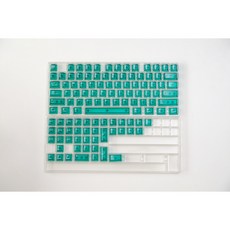 아이페이 투명 키캡 PC 체리 프로파일 레이니 독거미 LED 투과 114키, 그린