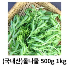 추천2 돌나물무침