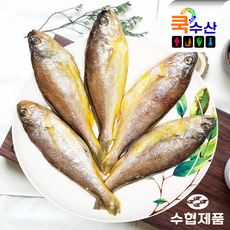 중국산조기