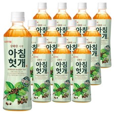 롯데 아침헛개 500ml x 12PET, 12개