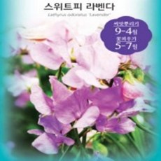 목단피