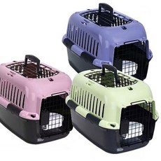 애견동반캠핑카