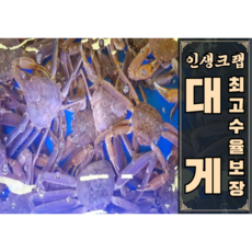 a70003038bb781b8ad7ebe21dec619dc370e47f4b6d4c32ed8217b93f7b9.png