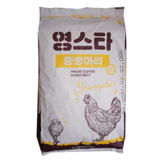 대한사료 영스타 중병아리사료 20kg, 1개