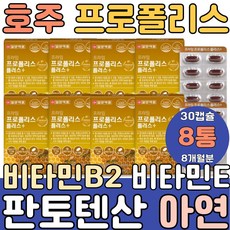 호주 프로폴리스 플라보노이드 아연 분말 가루 캡슐 필수아미노산 류신 발린 이소로이신 먹는법 가격 성분 함량 플러스 츄어블 목에좋은 음식 식품 고함량 로얄 프리미엄 서울