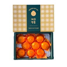 천혜향 2kg 3kg 5kg 선물세트 가정용 제주 제철