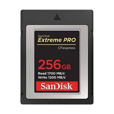 sandisk256gb익스트림프로cfexpress