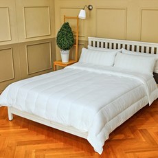 ebc0067a642a41c6edbba2460d4a8220a059c8cc3944268304b2928b0b31.jpg