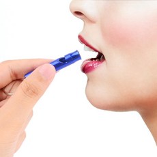 여성 휴대용 핸드백 호신용 호루라기 5개 운동회 호각