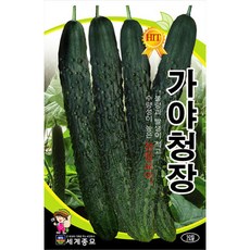 보석광내는천