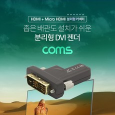 분리형dvi