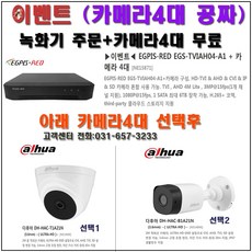 이지피스 400만화소 QHDVR-2004L_265 + 돔적외선 카메라1대, 카메라 4대