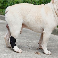 강아지무릎보호대 강아지 슬개골 수술 탈골 깁스 보호대 애견 1P 강아지슬개골보호대 sil*55281ef, 본상품선택, 1개