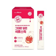 원데이석류스틱