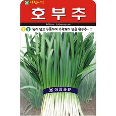 호부추