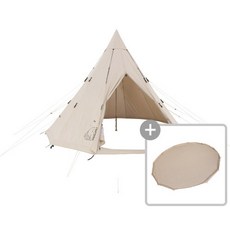 노르디스크알페임19.6